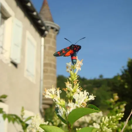 Guest house Maison Forte De Ceyssac Le Puy-en-Velay