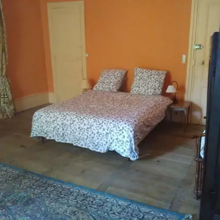 Maison Forte De Ceyssac * Le Puy-en-Velay
